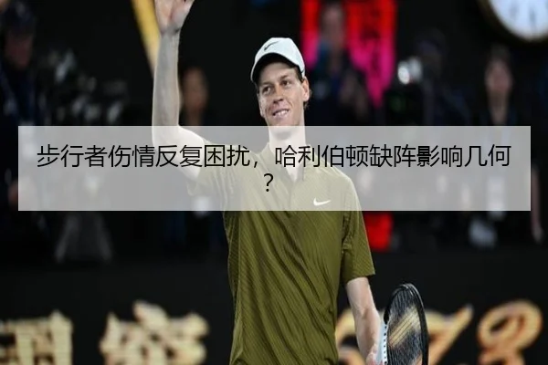 bu-xing-zhe-shang-qing-fan-fu-kun-rao-ha-li-bo-dun-que-zhen-ying-xiang-ji-he-2-319.jpg